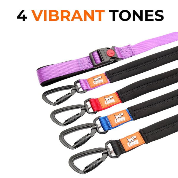 Canny Connect anti-escape leash shown in 4 color options—purple, red, blue, and black—all with black locking carabiner and orange Canny logo.