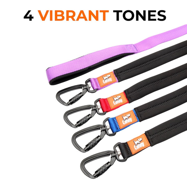 Canny Leash shown in 4 color options—purple, red, blue, and black—all with black locking carabiner and orange Canny logo.