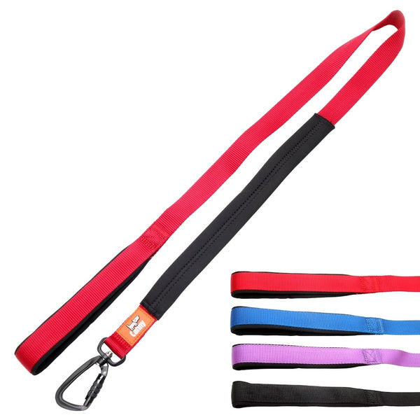 Red 4 ft Canny no pull leash for medium-large dogs with padded handle and locking carabiner, all color options shown.
