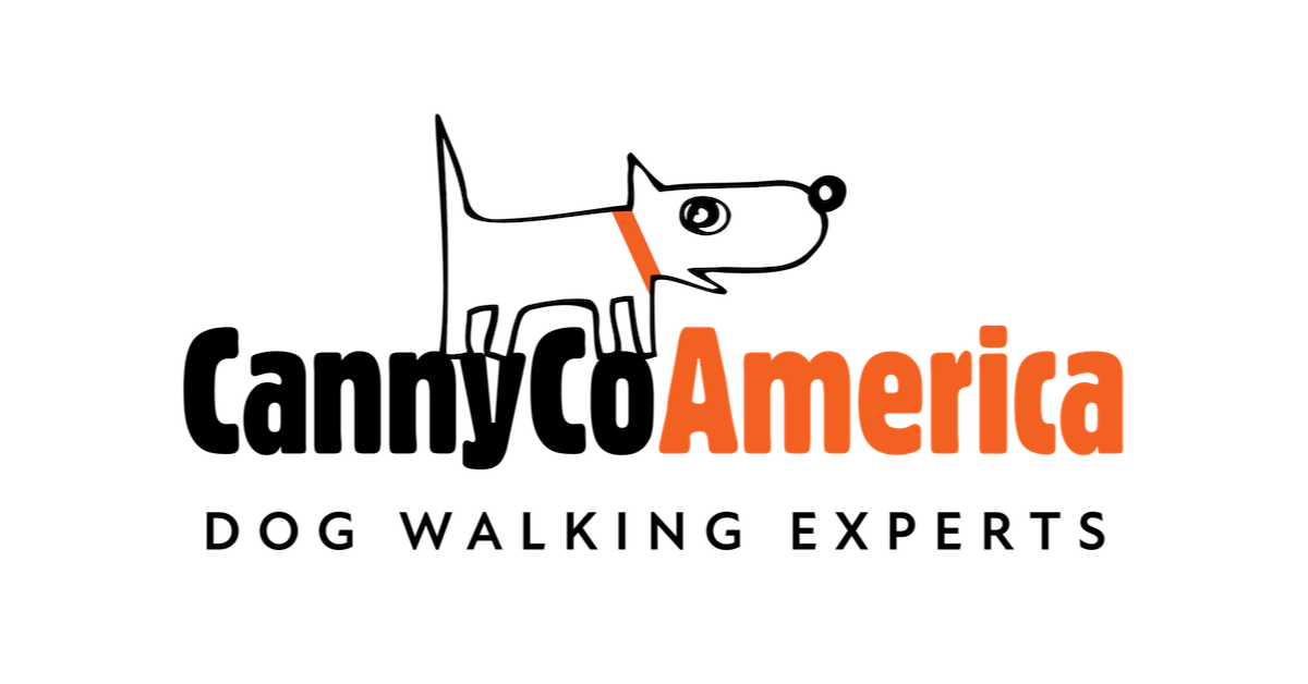 How To Correctly Fit Use A Canny Collar For A Pulling Dog