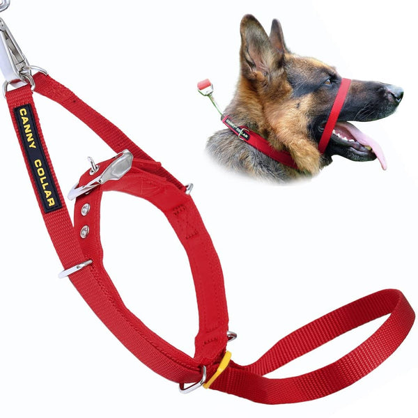 Red Canny Collar shown next to German Shepherd wearing it; attached to leash, designed for gentle training and control.