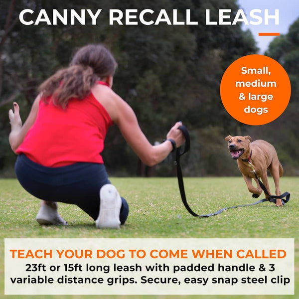 Woman kneeling on grass calling brown dog running with long dog training recall leash; for small, medium and large dog breeds.