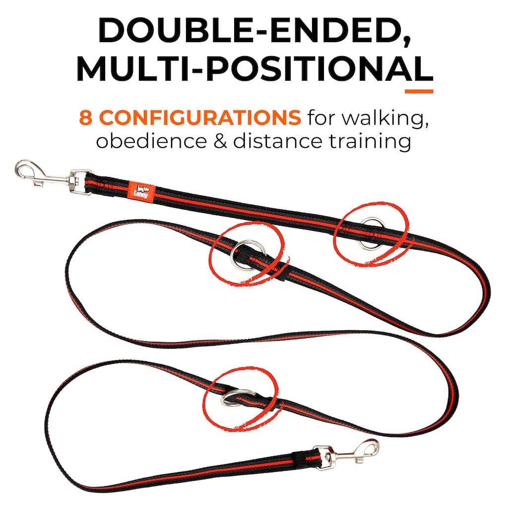 Double-ended Canny dog training leash shown laid out with 3 O-rings for 8 walking, obedience, and distance training configurations.