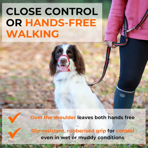 Spaniel on double-ended Canny dog training leash worn over handler’s shoulder for hands-free walking with slip-resistant grip visible.
