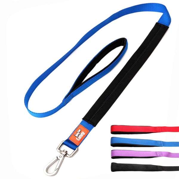 Blue dog leash for medium to large dogs, 1 inch wide and 4ft long. Neoprene handle & grip with brushed steel clip. Close up of leash handles in red, blue, purple and black.