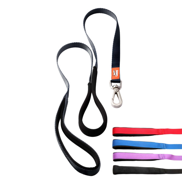 Black dog leash for small dogs and puppies, 5/8 inch wide and 4ft long. Neoprene handle & grip with brushed steel clip. Close up of leash handles in red, blue, purple and black.