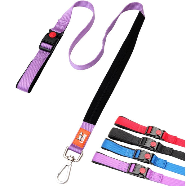 Purple 1 in wide Canny Connect anti escape leash for medium to large dogs, padded black grip and secure steel clip, shown with color options: red, blue, purple, black.