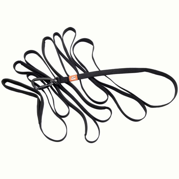 Black 15 ft long dog training recall leash for small dogs & puppies with locking carabiner, padded handle and grab points.