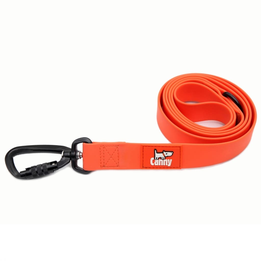 Waterproof, Odorless, Wipe-Clean Dog Leash | Locking Carabiner
