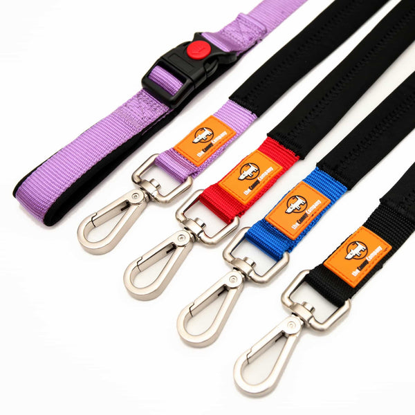 Range of Canny Leashes in 4 colours. Features the Canny Leash CONNECT with lockable buckle