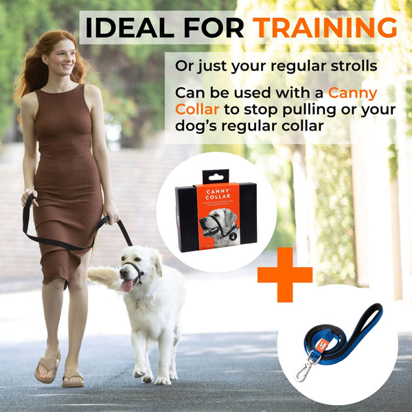 Woman walking Golden Retriever on black Canny Collar and leash