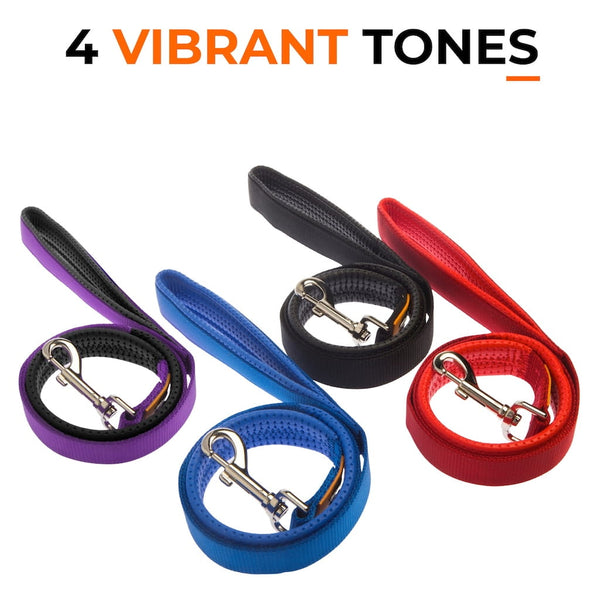Canny Leash - Previous Handle Version