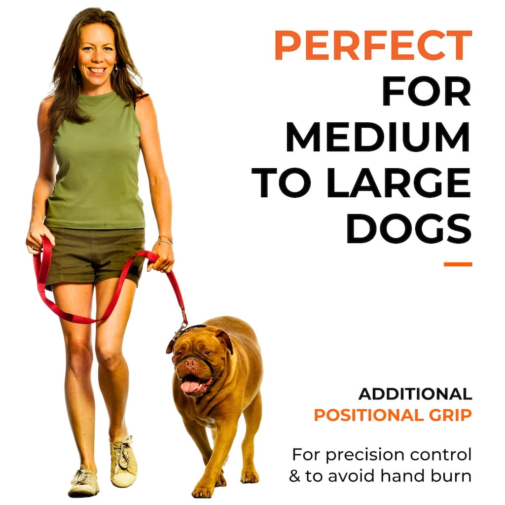 Canny CONNECT Leash | Lockable Buckle Prevents Escape