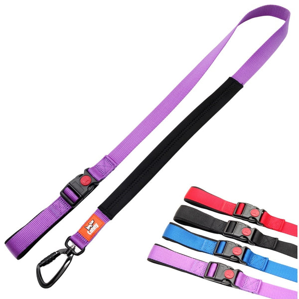 Purple 4 ft Canny Connect Leash for medium-large dogs with padded grip and locking carabiner, with 4 color swatches shown.