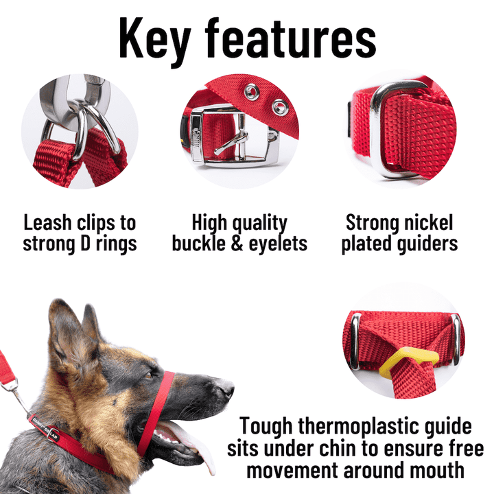 Canny collar pets place clearance