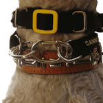 Canny Carabiners for off leash use