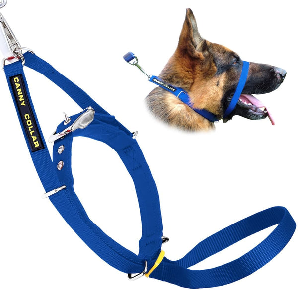 German Shepherd dog with mouth open wearing blue Canny Collar head collar