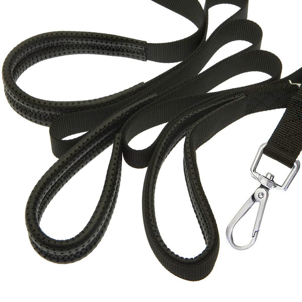 Canny Recall Leash