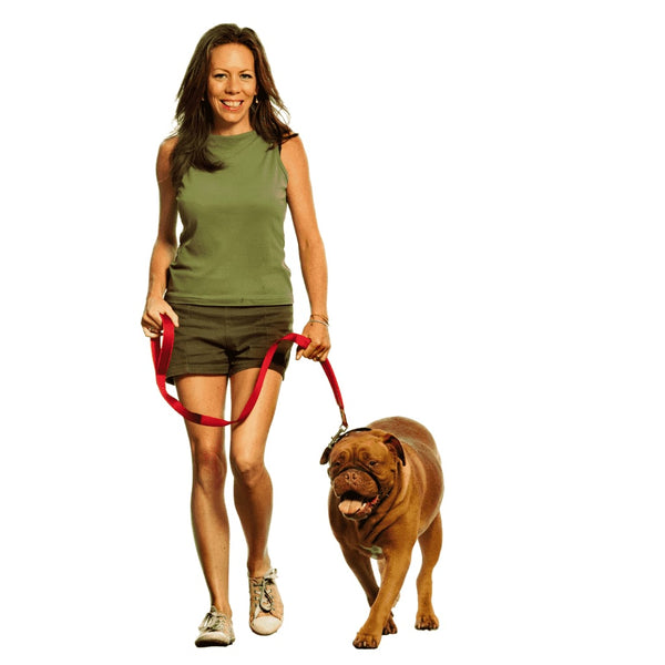 Woman training a dog to walk using a Canny Colossus head collar